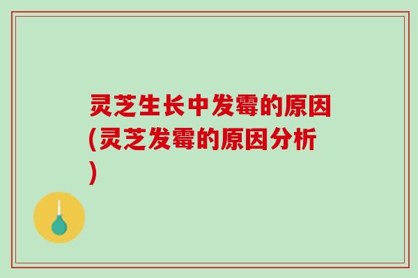 灵芝生长中发霉的原因(灵芝发霉的原因分析)