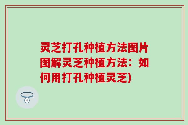 灵芝打孔种植方法图片图解灵芝种植方法：如何用打孔种植灵芝)