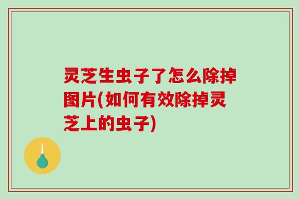 灵芝生虫子了怎么除掉图片(如何有效除掉灵芝上的虫子)