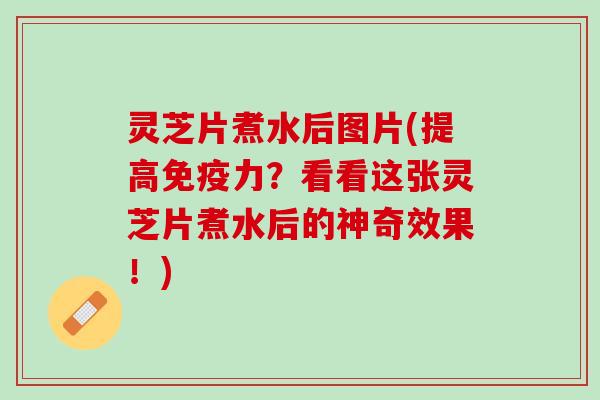 灵芝片煮水后图片(提高免疫力？看看这张灵芝片煮水后的神奇效果！)