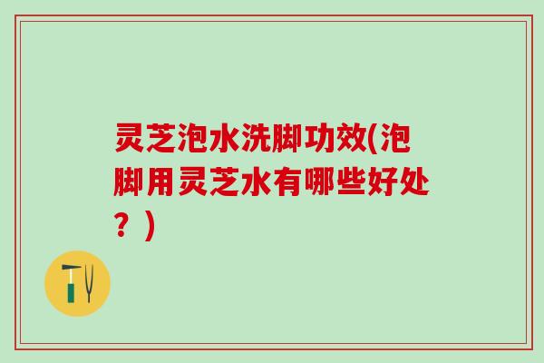 灵芝泡水洗脚功效(泡脚用灵芝水有哪些好处？)