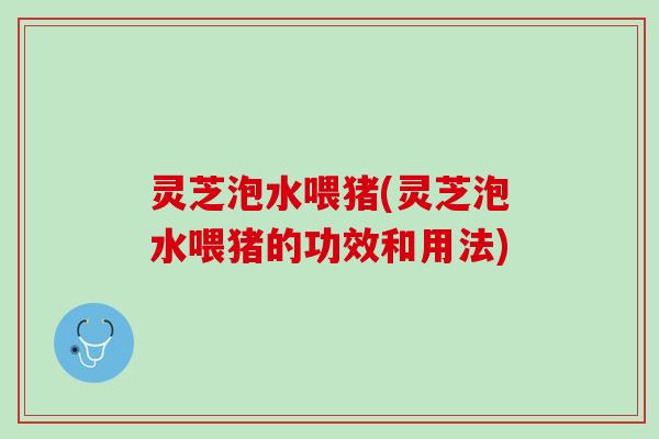 灵芝泡水喂猪(灵芝泡水喂猪的功效和用法)
