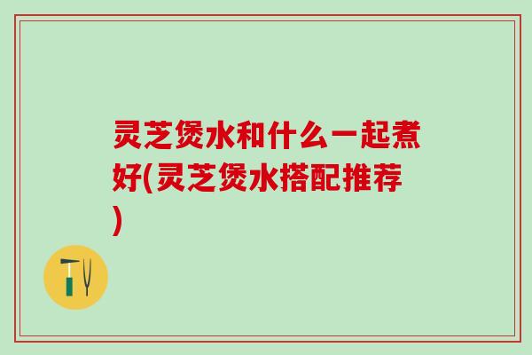 灵芝煲水和什么一起煮好(灵芝煲水搭配推荐)