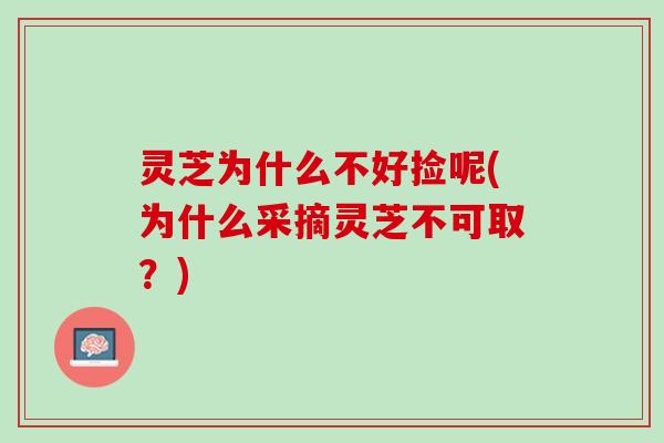 灵芝为什么不好捡呢(为什么采摘灵芝不可取？)