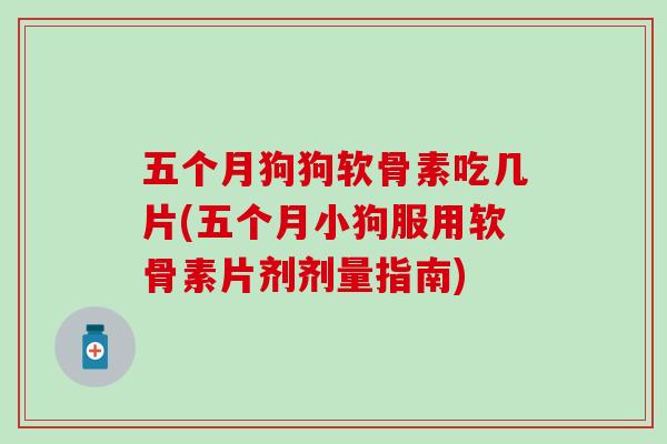 五个月狗狗软骨素吃几片(五个月小狗服用软骨素片剂剂量指南)