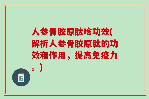 人参骨胶原肽啥功效(解析人参骨胶原肽的功效和作用，提高免疫力。)