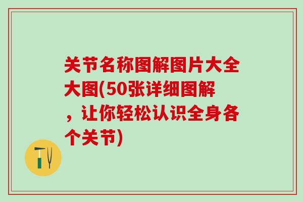 关节名称图解图片大全大图(50张详细图解，让你轻松认识全身各个关节)