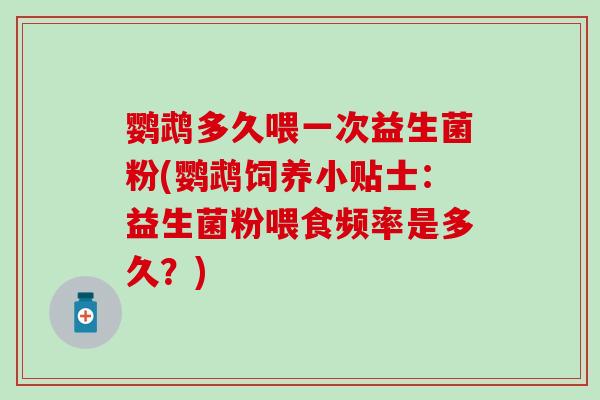 鹦鹉多久喂一次益生菌粉(鹦鹉饲养小贴士：益生菌粉喂食频率是多久？)