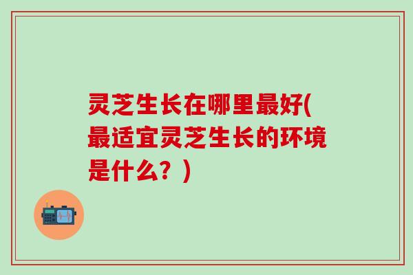 灵芝生长在哪里最好(最适宜灵芝生长的环境是什么？)