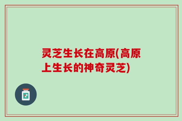 灵芝生长在高原(高原上生长的神奇灵芝)
