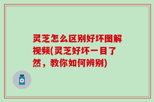 灵芝怎么区别好坏图解视频(灵芝好坏一目了然，教你如何辨别)