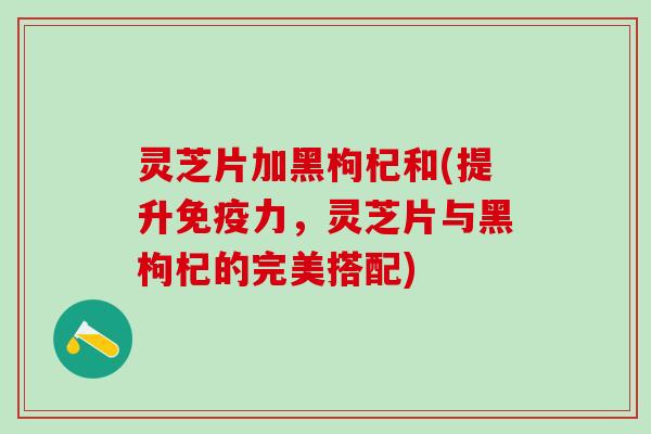 灵芝片加黑枸杞和(提升免疫力，灵芝片与黑枸杞的完美搭配)