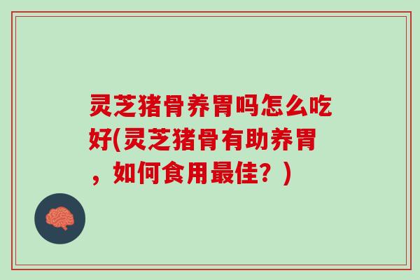灵芝猪骨养胃吗怎么吃好(灵芝猪骨有助养胃，如何食用最佳？)