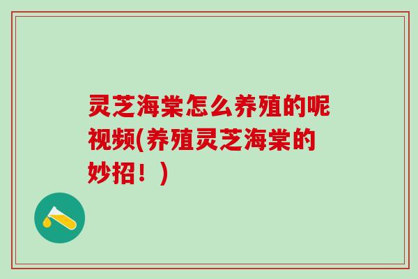 灵芝海棠怎么养殖的呢视频(养殖灵芝海棠的妙招！)