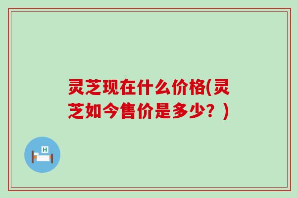 灵芝现在什么价格(灵芝如今售价是多少？)