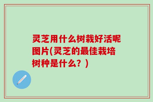 灵芝用什么树栽好活呢图片(灵芝的最佳栽培树种是什么？)
