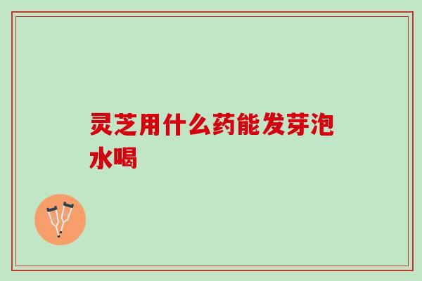 灵芝用什么药能发芽泡水喝