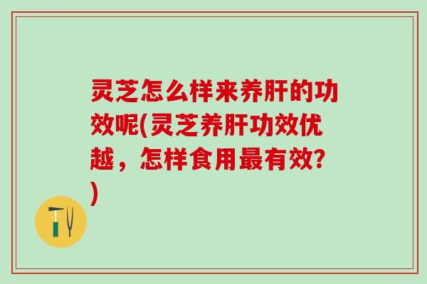 灵芝怎么样来养肝的功效呢(灵芝养肝功效优越，怎样食用最有效？)