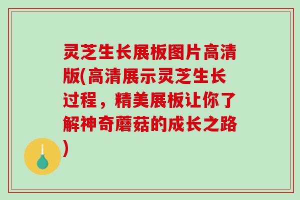 灵芝生长展板图片高清版(高清展示灵芝生长过程，精美展板让你了解神奇蘑菇的成长之路)