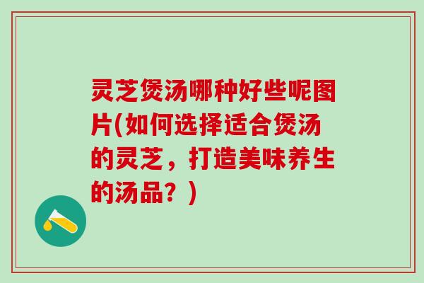 灵芝煲汤哪种好些呢图片(如何选择适合煲汤的灵芝，打造美味养生的汤品？)