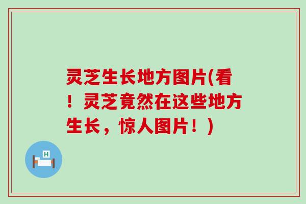 灵芝生长地方图片(看！灵芝竟然在这些地方生长，惊人图片！)