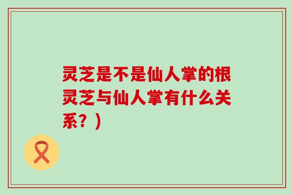灵芝是不是仙人掌的根灵芝与仙人掌有什么关系？)
