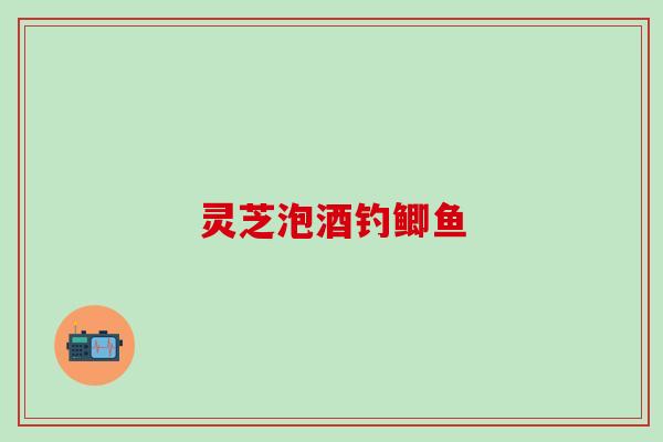 灵芝泡酒钓鲫鱼