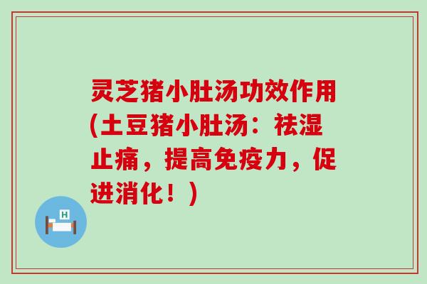 灵芝猪小肚汤功效作用(土豆猪小肚汤：祛湿止痛，提高免疫力，促进消化！)