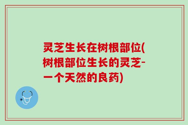 灵芝生长在树根部位(树根部位生长的灵芝-一个天然的良药)