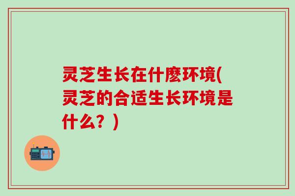 灵芝生长在什麽环境(灵芝的合适生长环境是什么?) 灵芝生长在什麽环境(灵芝的合适生长环境是什么?)
