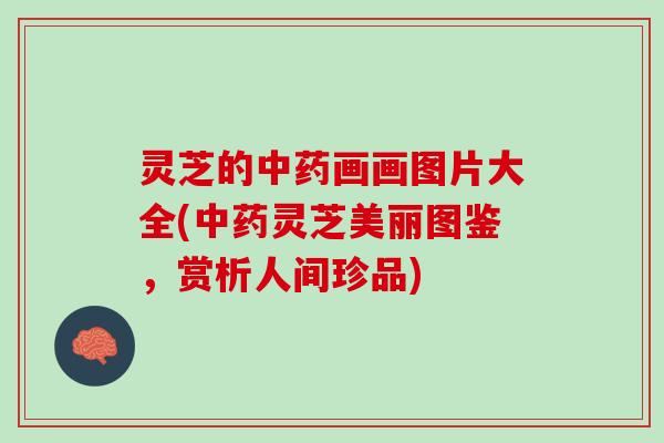 灵芝的中药画画图片大全(中药灵芝美丽图鉴，赏析人间珍品)
