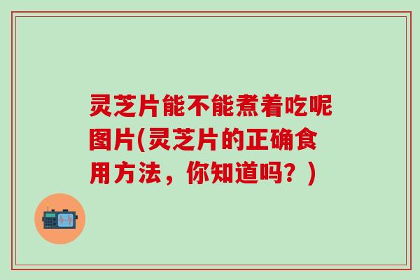 灵芝片能不能煮着吃呢图片(灵芝片的正确食用方法，你知道吗？)