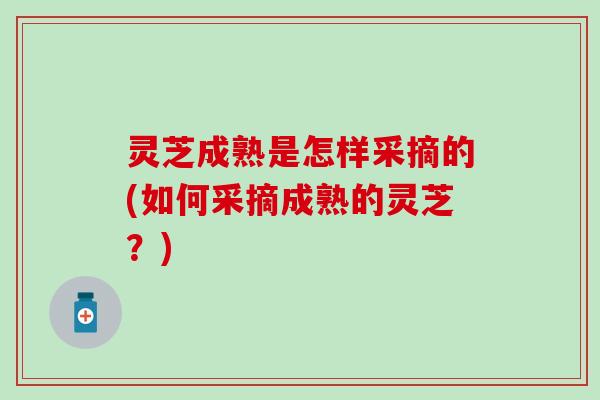 灵芝成熟是怎样采摘的(如何采摘成熟的灵芝？)