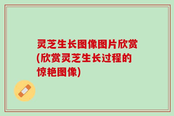 灵芝生长图像图片欣赏(欣赏灵芝生长过程的惊艳图像)