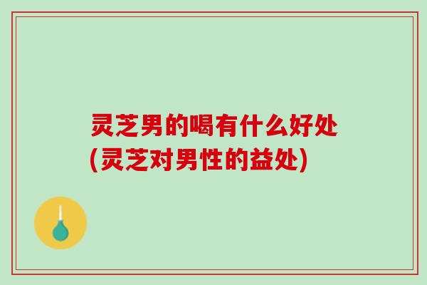 灵芝男的喝有什么好处(灵芝对男性的益处)