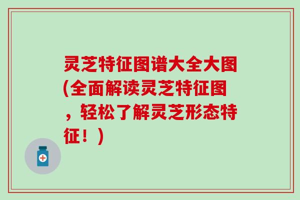 灵芝特征图谱大全大图(全面解读灵芝特征图，轻松了解灵芝形态特征！)