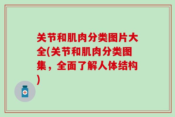 关节和肌肉分类图片大全(关节和肌肉分类图集，全面了解人体结构)
