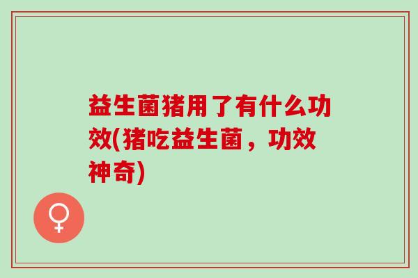 益生菌猪用了有什么功效(猪吃益生菌，功效神奇)