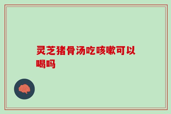 灵芝猪骨汤吃咳嗽可以喝吗