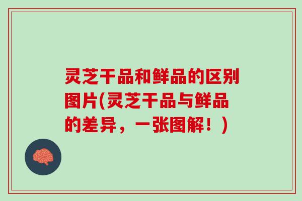 灵芝干品和鲜品的区别图片(灵芝干品与鲜品的差异，一张图解！)