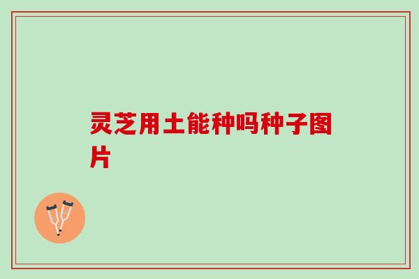 灵芝用土能种吗种子图片