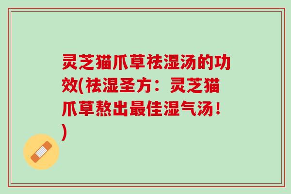 灵芝猫爪草祛湿汤的功效(祛湿圣方：灵芝猫爪草熬出最佳湿气汤！)