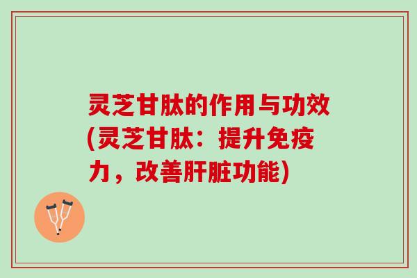 灵芝甘肽的作用与功效(灵芝甘肽：提升免疫力，改善肝脏功能)