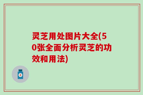 灵芝用处图片大全(50张全面分析灵芝的功效和用法)