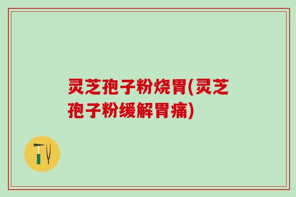 灵芝孢子粉烧胃(灵芝孢子粉缓解胃痛)