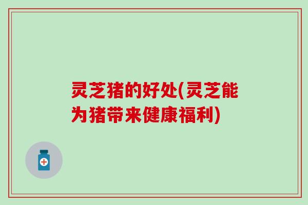 灵芝猪的好处(灵芝能为猪带来健康福利)