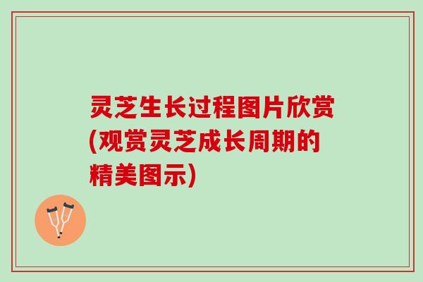 灵芝生长过程图片欣赏(观赏灵芝成长周期的精美图示)