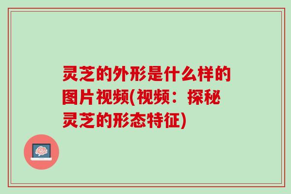 灵芝的外形是什么样的图片视频(视频：探秘灵芝的形态特征)