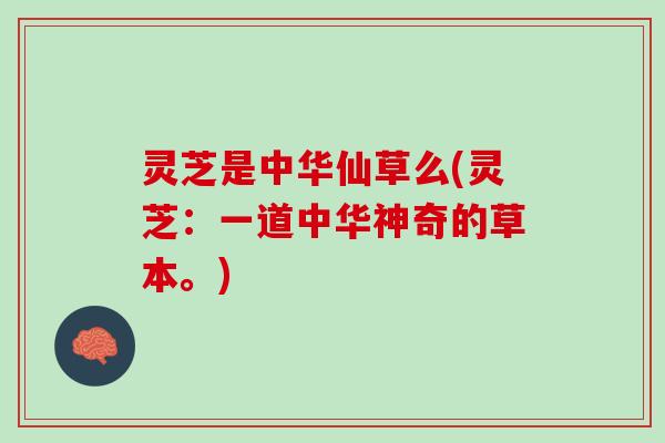 灵芝是中华仙草么(灵芝：一道中华神奇的草本。)