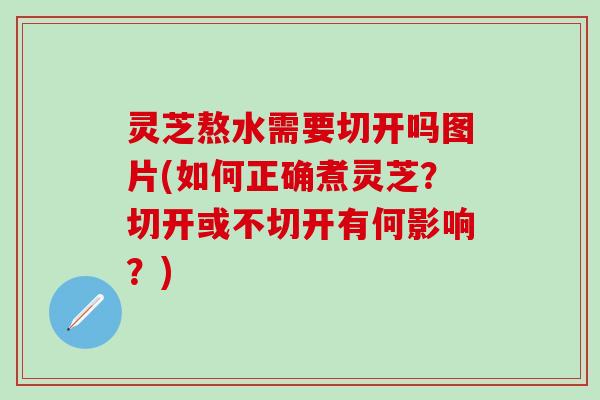 灵芝熬水需要切开吗图片(如何正确煮灵芝？切开或不切开有何影响？)